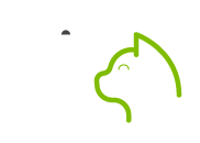 Pet Hair removal (Medium)